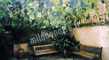 locale da cecco Milano